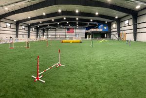 indoor agility ring with artificial turf