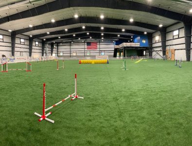 indoor agility ring with artificial turf