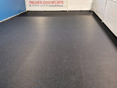 indoor dog sports floor