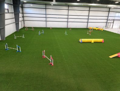 indoor agility ring flooring